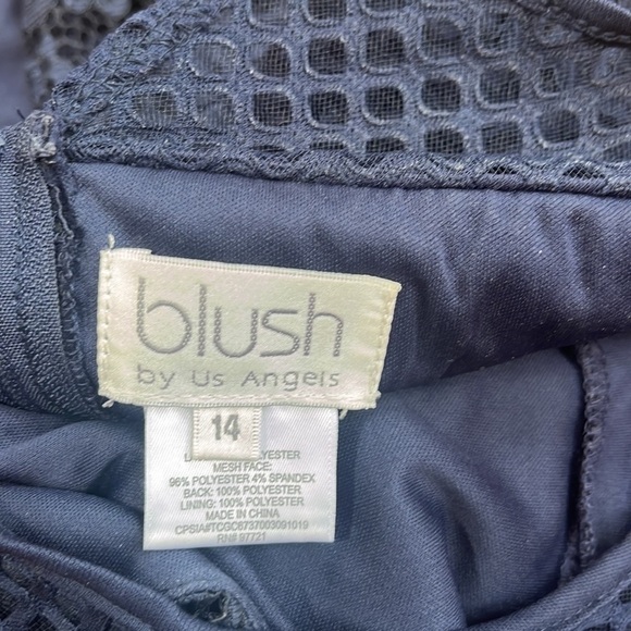 Blush Girl’s Lace Mesh Dress Size 14 - Picture 7 of 8